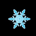 安小沫