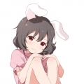 大黄黄